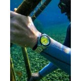 Spinnaker SP-5098-44 Piccard