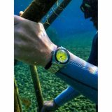 Spinnaker SP-5098-44 Piccard