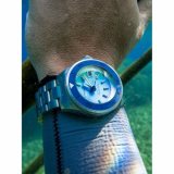 Spinnaker SP-5098-55 Piccard