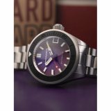 Spinnaker SP-5098-66 Piccard