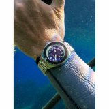 Spinnaker SP-5098-66 Piccard