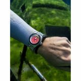 Spinnaker SP-5098-99 Piccard