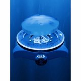 Spinnaker SP-5135-11 Piccard Skeleton