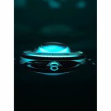 Spinnaker SP-5135-22 Piccard Skeleton