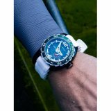 Nubeo NB-6092-02 Sphyrnidae Limited