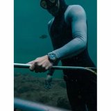 Nubeo NB-6092-11 Sphyrnidae Limited