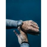 Nubeo NB-6092-11 Sphyrnidae Limited