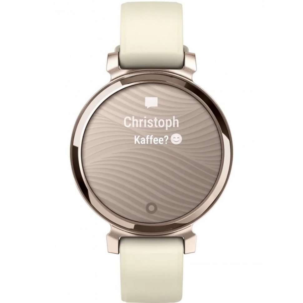 Garmin 010-02839-00 Lilly 2
