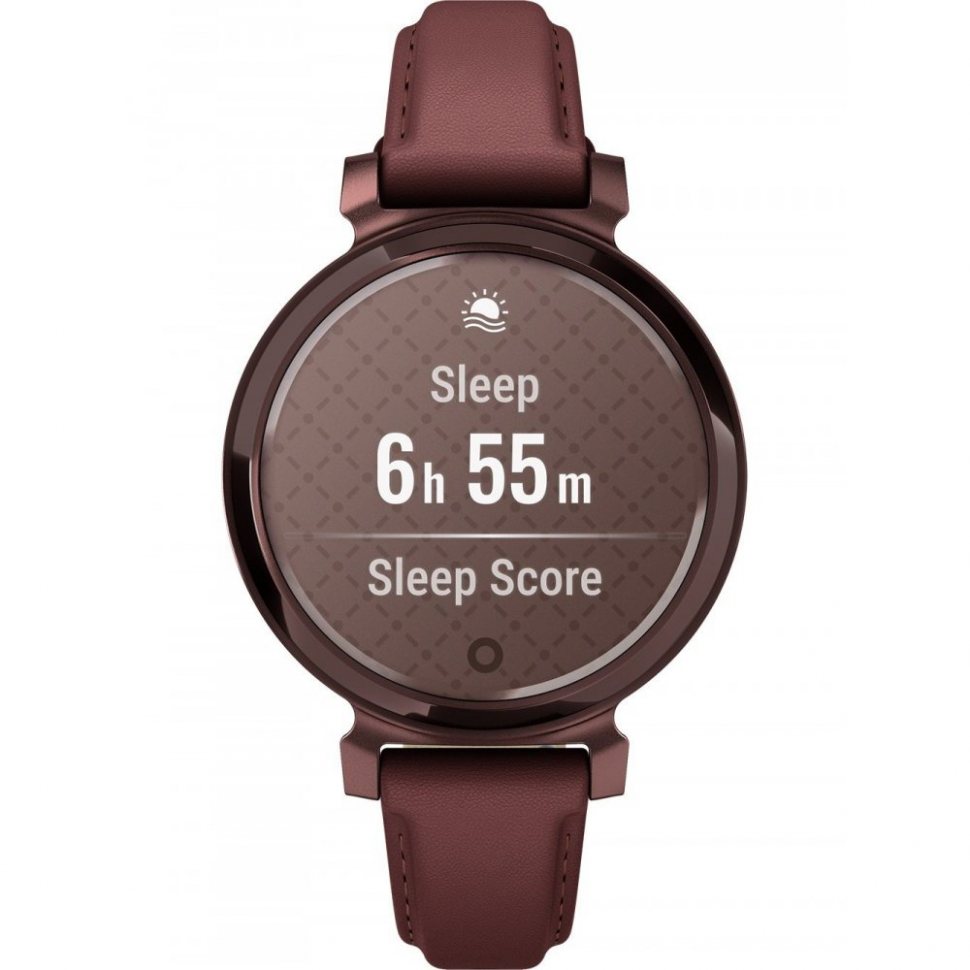 Garmin 010-02839-03 Lilly 2