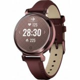 Garmin 010-02839-03 Lilly 2