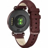 Garmin 010-02839-03 Lilly 2